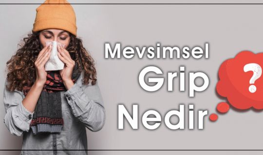 Mevsimsel Grip Hastalığı (Grip) Nedir?