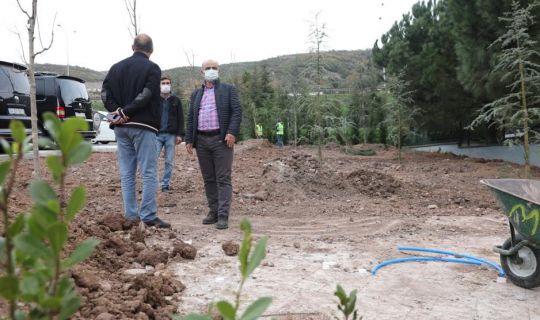 Başkan Söğüt, “Yeşil alanlarımızı çoğaltıyoruz”