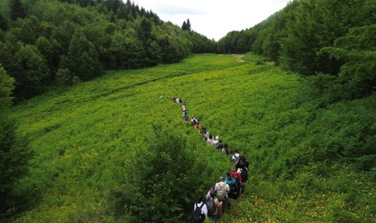 Kocaeli’nin, Doğa Turizmi Parkurları, Sizleri Bekliyor