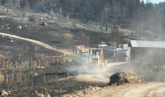 Körfez Belediyesi, Bolu’ya Yangın Bölgesine, İş Makineleri Gönderdi