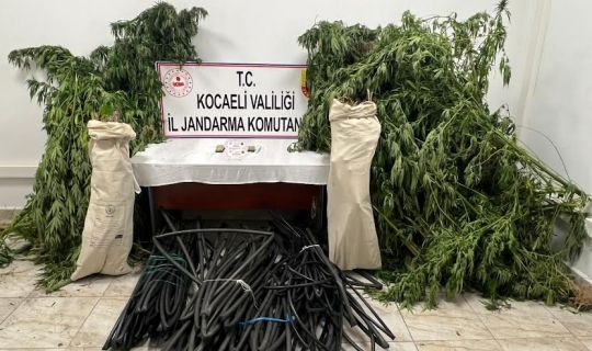 Kocaeli Jandarma’dan, Uyuşturucu Operasyonu