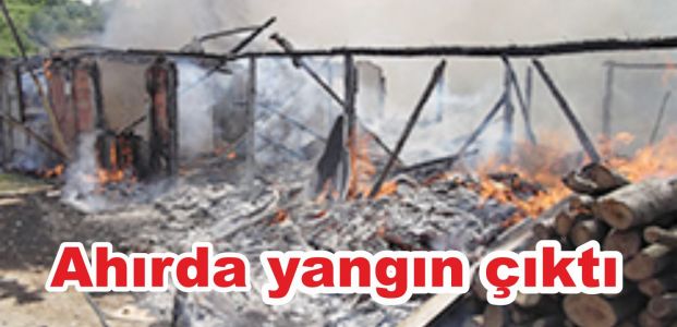 Ahırda yangın çıktı, 3 hayvan telef oldu