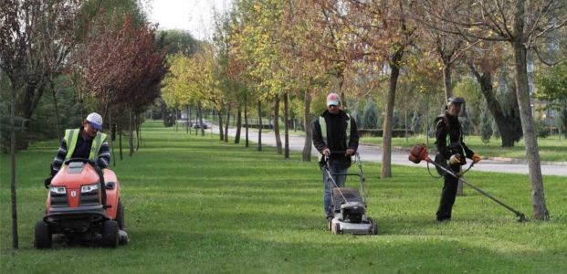 Çimlerden elektrik ve biogaz üretiliyor