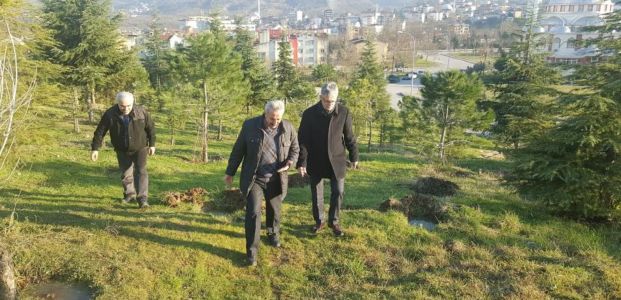  Gölcük Belediyesi Ağaçlandırmaya Önem Veriyor