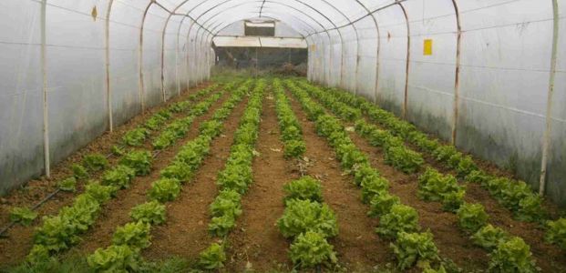 Kartepe Heyeti Ekoköyleri Keşfe Gitti