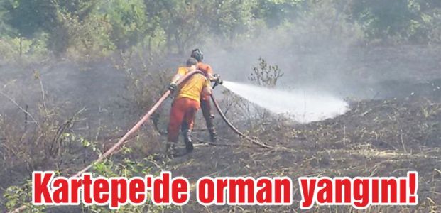  Kartepe'de orman yangını!