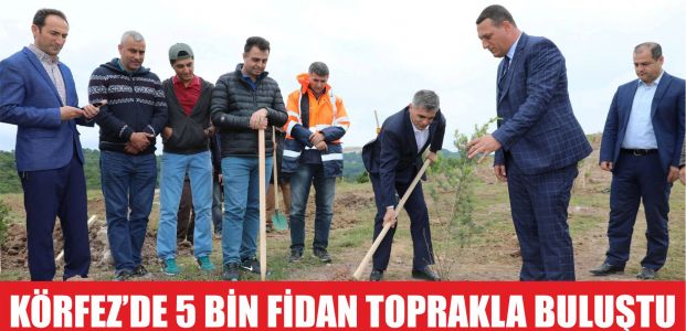  Körfez’de 5 bin fidan toprakla buluştu