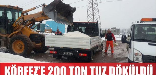  Körfez’e 200 ton tuz