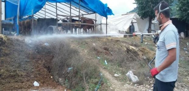 Kurban satış yerleri ilaçlandı