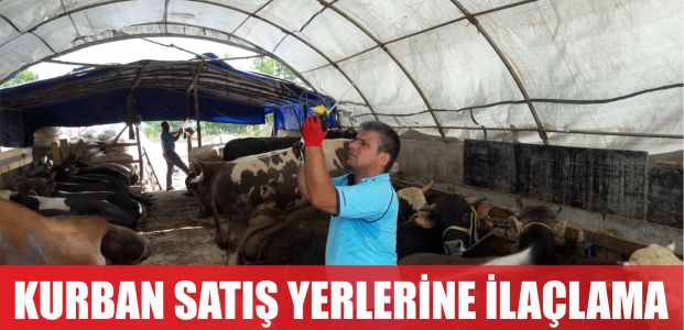  Kurban satış yerlerine Büyükşehir’den ilaçlama