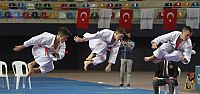 14. Uluslararası Karate Şampiyonasını Türkiye zirvede bitirdi