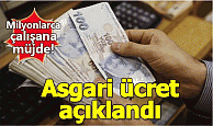  2019 asgari ücret ne kadar oldu -