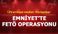 Emniyet'te FETÖ opeasyonu:49 kişi gözaltına alındı