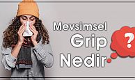 Mevsimsel Grip Hastalığı (Grip) Nedir?