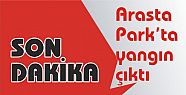 Arasta Park’ta yangın çıktı