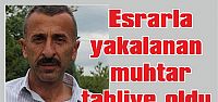  Esrarla yakalanan muhtar tahliye oldu