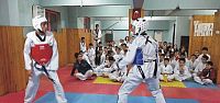 Gölcük Belediye Spor Kulübü Taekwondo Branşında