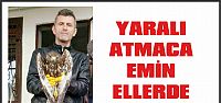 YARALI ATMACA EMİN ELLERDE