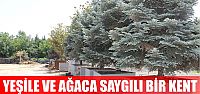 Yeşile ve ağaca saygılı kent Kocaeli