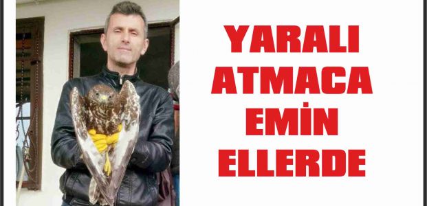 YARALI ATMACA EMİN ELLERDE